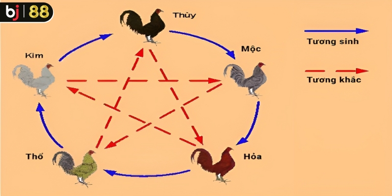 Các màu mạng gà đá có sự tương sinh, tương khắc với nhau